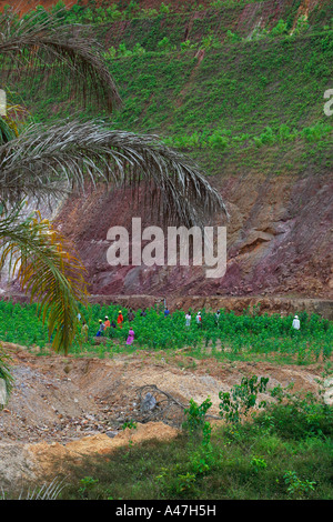 Maulbeere-Bauernhof in abgebaut, Tagebau Grube der Goldmine, Ghana, Westafrika Stockfoto