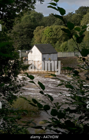 Wehr und Turbine Haus von Blantyre elektrische Wasserkraftwerk, River Clyde in der Nähe von prachtvollen, Scotland, UK Stockfoto