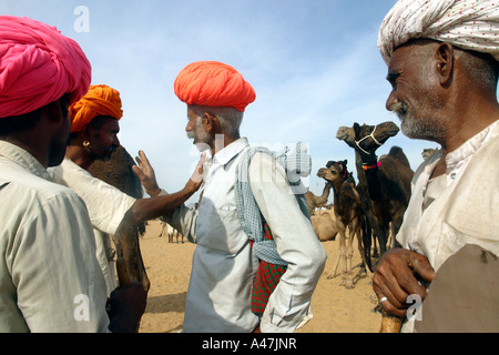 Kamel Händler besprechen sich während der jährliche Pushkar Kamel Messe in Indien Stockfoto