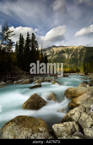 Die rauschenden Wasser des der Yoho River Yoho National Park Kanada Stockfoto