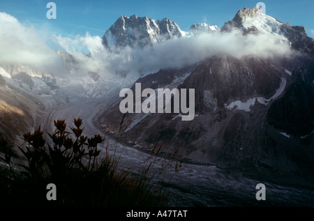 Der Gletscher Leschaux und die Nordwand des Les Grandes Jorasses in den französischen Alpen Stockfoto