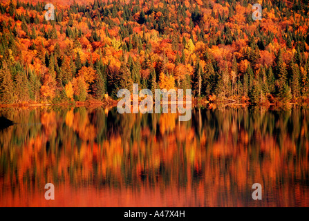 Herbstliche Bäume spiegeln sich in einem See in Quebec Stockfoto