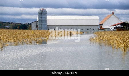 Einem überfluteten Bauernhof in Estrie Quebec Stockfoto