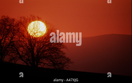 Bäume Silhouette gegen einen tiefen roten Sonnenuntergang auf Dartmoor Stockfoto