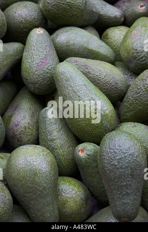 Griechenland Kreta frische Avocados auf Verkauf Chania Old Town Straßenmarkt Stockfoto