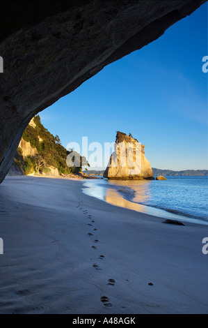 Fußspuren im Sand am einsamen Strand von Cathedral Cove im Morgengrauen nr Hahei Coromandel Halbinsel North Island Neuseeland NR Stockfoto