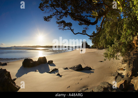 eine Frau an einem einsamen Strand an der Oper Punkt Whangapoua Hafen Coromandel Halbinsel Nordinsel Neuseeland Stockfoto