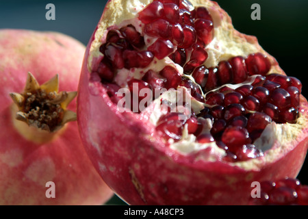 Granatapfel-Stillleben Stockfoto