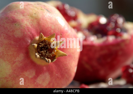 Granatapfel-Stillleben Stockfoto