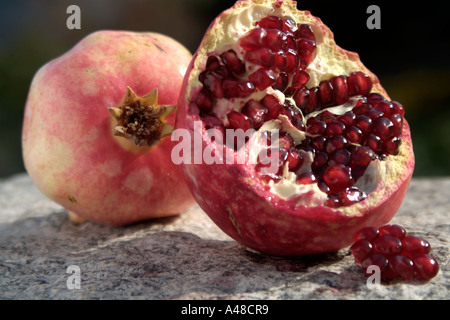 Still-Leben. Zwei Granatäpfel: eins ist ganze, während im Vordergrund der anderen öffnen, um die Ruby roten Samen enthüllen aufgeteilt wurde. Stockfoto