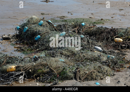 Gill Net angespült Winkel Bucht Milford Haven Pembrokeshire Wales UK Europe Stockfoto