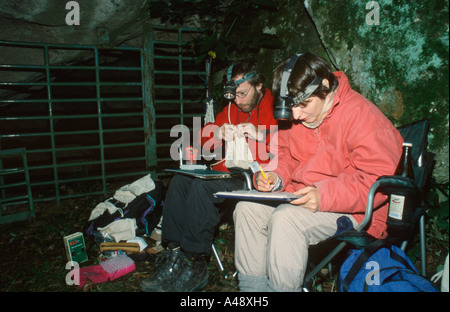 Biologen Stockfoto