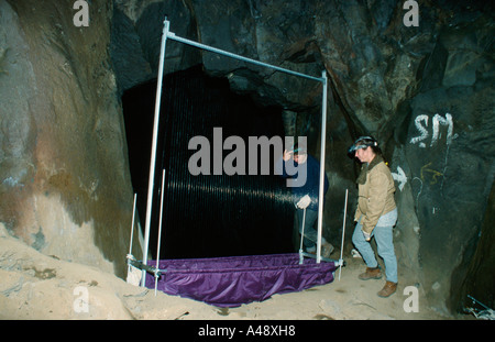 Biologen Stockfoto