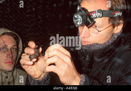 Biologen Stockfoto