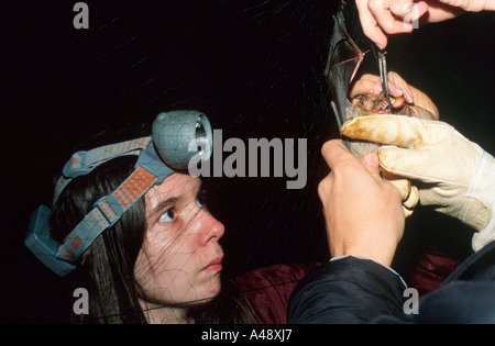 Biologen Stockfoto