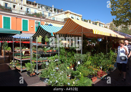 Blick auf bunte Cours Saleya Marché Aux Fleurs Vieux alt Nizza Côte d ' Azur Cote D Azur Frankreich Südeuropa Stockfoto