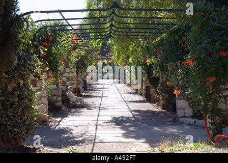 Blick auf den Stadtpark in der Nähe von Rue Ort Espace Massèna Massena Vieux alt Nizza Côte d ' Azur Cote D Azur Frankreich Südeuropa Stockfoto