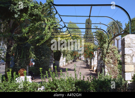 Blick auf den Stadtpark in der Nähe von Rue Ort Espace Massèna Massena Vieux alt Nizza Côte d ' Azur Cote D Azur Frankreich Südeuropa Stockfoto