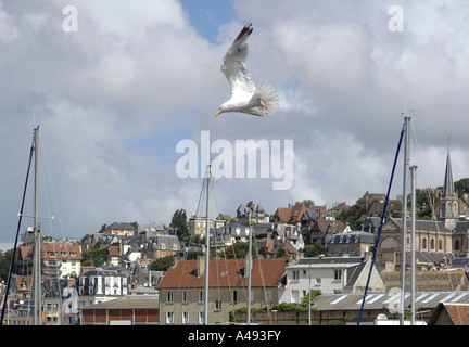 Panoramablick von Deauville Port Ärmelkanal Ärmelkanal Normandie Normandie Westfrankreich Nordeuropa Stockfoto