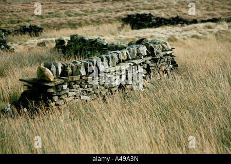 Über Haworth, Yorkshire moors gebrochen Trockenstein Mauerwerk auf den Bronte Stockfoto