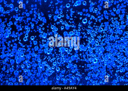 Nahaufnahme von Luftblasen im Wasser Stockfoto