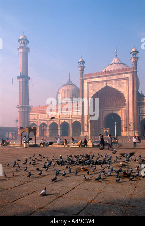 Jama Masjid Moschee / New Delhi Stockfoto