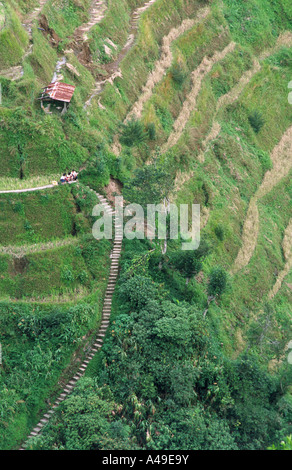 Einheimische Klettern Treppe in Banaue Reisterrassen North Luzon Philippinen Südost-Asien Stockfoto
