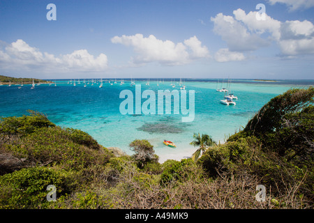 WEST INDIES Karibik St. Vincent The Grenadines Tobago Cays Jamesby Insel Strand Anchorage mit Yachten offshore. Stockfoto