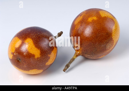 Süße Granadilla / gelbe Passionsfrucht Stockfoto