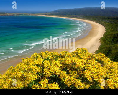 Tautuku Bay, New Zealand, Abel Tasman Nationalpark Stockfoto