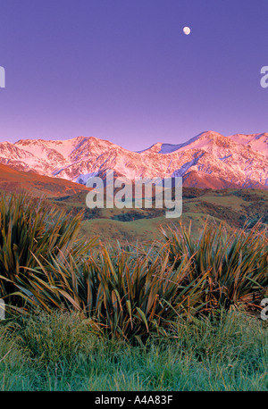 Kaikoura Range, Südinsel, Neuseeland Stockfoto