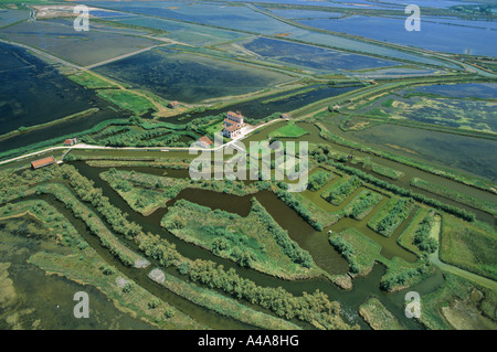 Delta des Po Rovigo Veneto Italien Stockfoto