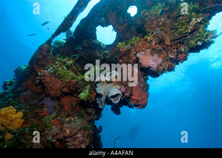 Schwämme, Algen und Korallen wachsen über die äußere Struktur der Fujikawa Maru Truk Lagune Stockfoto