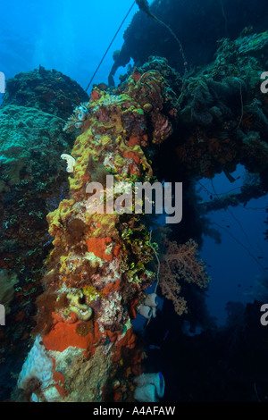 Schwämme, Algen und Korallen wachsen über die äußere Struktur der Fujikawa Maru Truk Lagune Stockfoto