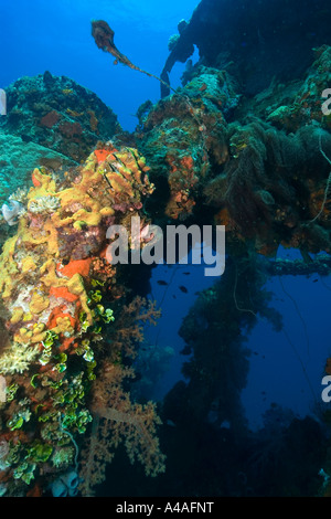 Schwämme, Algen und Korallen wachsen über die äußere Struktur der Fujikawa Maru Truk Lagune Stockfoto