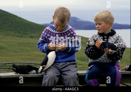 INSGESAMT Inseln, Island, Juli 1993: Puffin Jagd: Puffin Jäger Sohn Ragnor und einem Freund zu spielen, mit einigen Toten Papageientaucher. Stockfoto