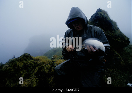 INSGESAMT-Inseln, Island, Juli 1993: Joi Ragg Reittiere ein Papageientaucher er nur gefangen und getötet hat auf einem Stick zu handeln als Lockvogel Stockfoto