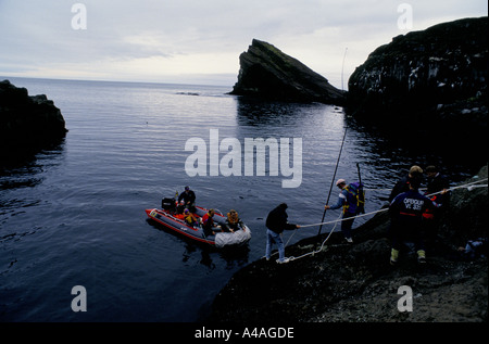 ELLIDAEY, insgesamt Inseln, Island, Juli 1993: Puffin Jagd: die Jäger kommen auf die Insel, um ihre Jagd beginnen. Stockfoto