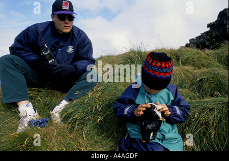 INSGESAMT Inseln, Island, Juli 1993: Puffin Jagd: Joi Ragg wartet mit seinem Radio Stockfoto