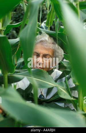 Bridgewater Virginia Naomi Westen 84 inspiziert den Mais wächst in ihrem Garten Stockfoto