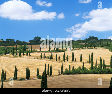 ITALIEN TUSCANY LA FOCE IN DER NÄHE VON CHIANCIANO TERME Stockfoto