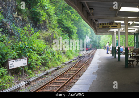 Dolgoch fällt Station mit Talyllyn viktorianischen Bahnhof Stockfoto