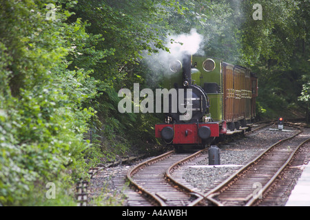 Talyllyn viktorianischen Zug auf Abstellgleis Dolgoch fällt Station Stockfoto