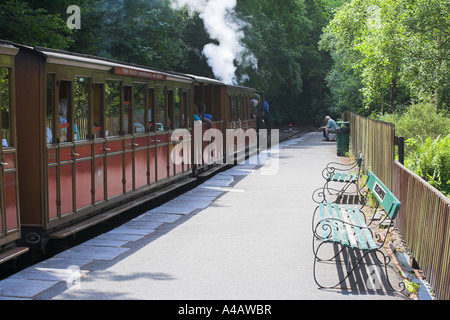 Tywyn Zug in Dolgoch fällt Station Stockfoto