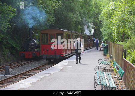 Talyllyn Bahn für erbend Dolgoch fällt Bahnhof Tywyn Stockfoto