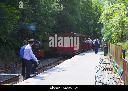 Zug für Tywyn gestoppt bei Dolgoch fällt Station Stockfoto