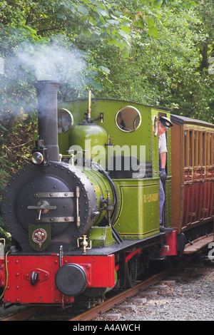 Talyllyn Dampfmaschine Dolgoch wartet grünes signal Stockfoto