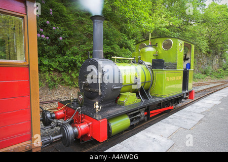 Talyllyn Dampf Zug Dolgoch Wachen Van befestigt Stockfoto