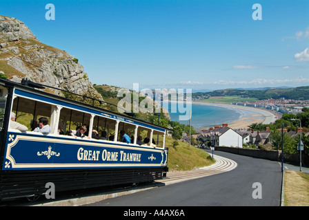 llandudno wales Blaue Straßenbahnfahrt mit der Great Orme Tramway den Great Orme hinauf mit Blick auf Llandudno North Wales UK GB Europa Stockfoto
