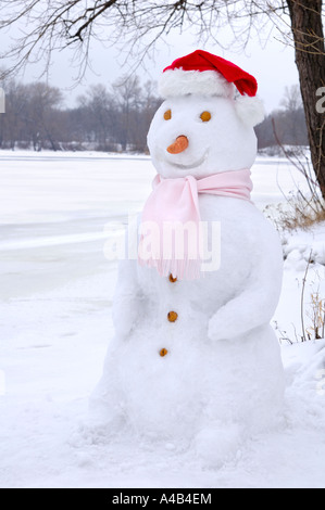 Schneemann in eine Weihnachtsmütze im winter Stockfoto